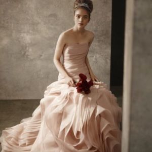 Vera Wang Bridal Blush Gown